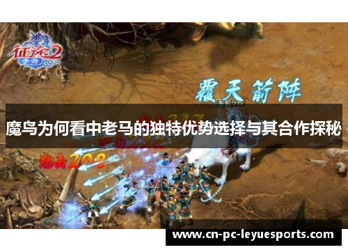 魔鸟为何看中老马的独特优势选择与其合作探秘 魔鸟为何看中老马的独特优势选择与其合作探秘