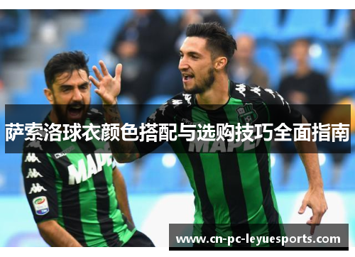 萨索洛球衣颜色搭配与选购技巧全面指南