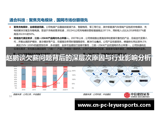 赵鹏谈欠薪问题背后的深层次原因与行业影响分析