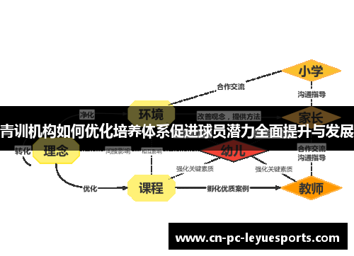 青训机构如何优化培养体系促进球员潜力全面提升与发展