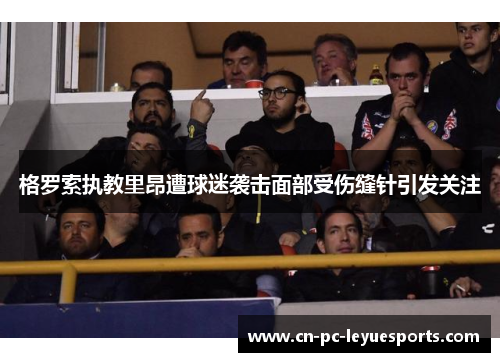 格罗索执教里昂遭球迷袭击面部受伤缝针引发关注 格罗索执教里昂遭球迷袭击面部受伤缝针引发关注