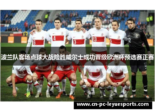 波兰队客场点球大战险胜威尔士成功晋级欧洲杯预选赛正赛 波兰队客场点球大战险胜威尔士成功晋级欧洲杯预选赛正赛