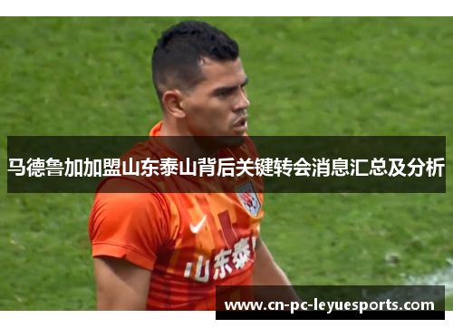 马德鲁加加盟山东泰山背后关键转会消息汇总及分析
